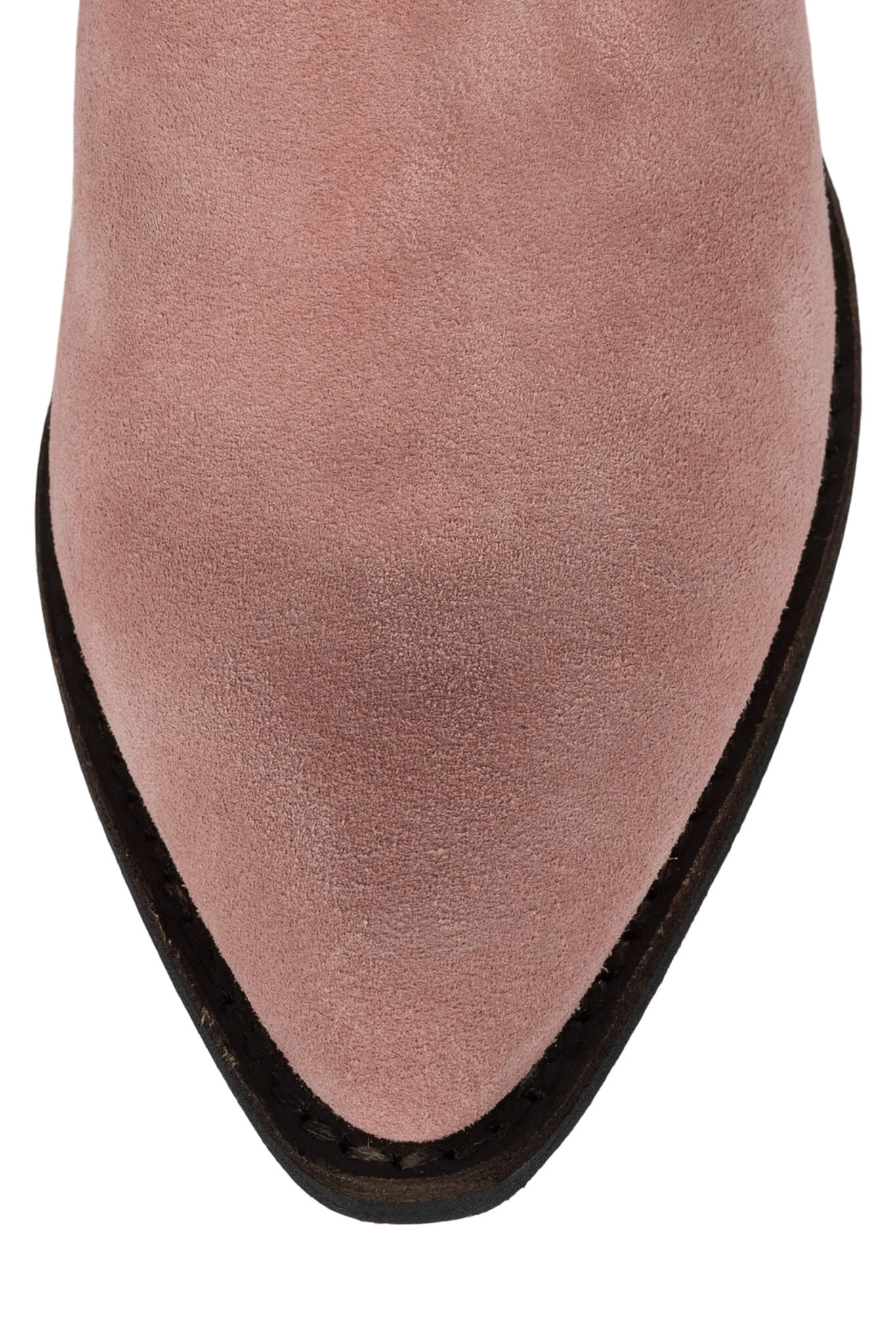 CALVERA-KH-annaxin