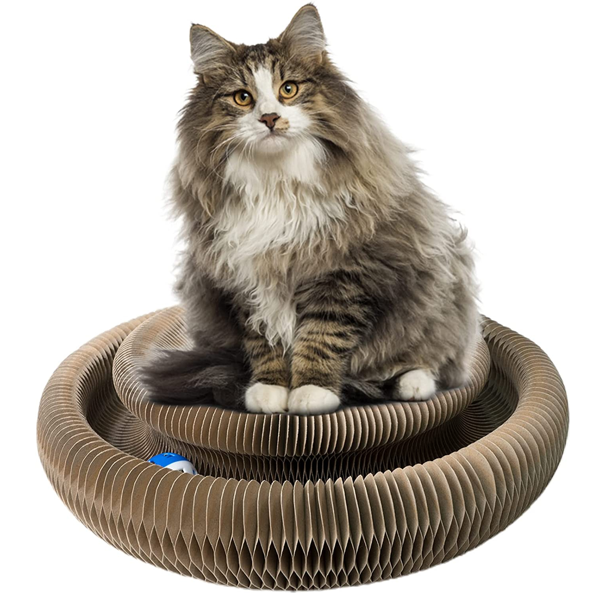 🔥Hot Sale 50% OFF🔥Magic Organ Cat Toy