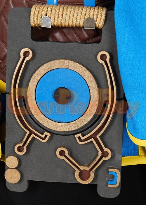 The Legend of Zelda Princess Zelda Costume Cosplay Suit with Cloak Breath of the Wild Outfit