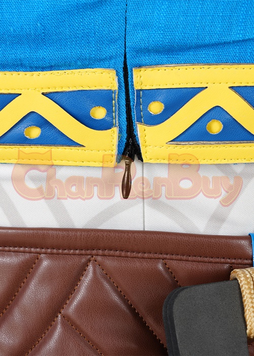 The Legend of Zelda Princess Zelda Costume Cosplay Suit with Cloak Breath of the Wild Outfit