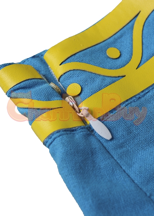Princess Zelda Costume The Legend of Zelda Breath of the Wild Cosplay Suit -Chaorenbuy Cosplay