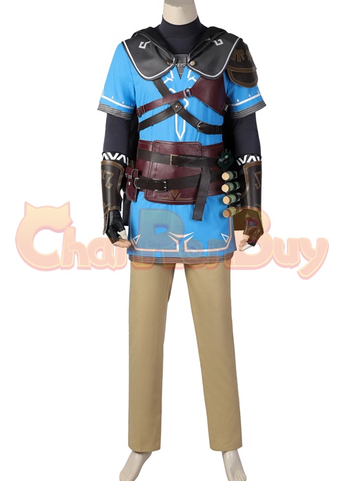 Link Costume The Legend of Zelda Tears of the Kingdom Cosplay Suit Ver.1-Chaorenbuy Cosplay