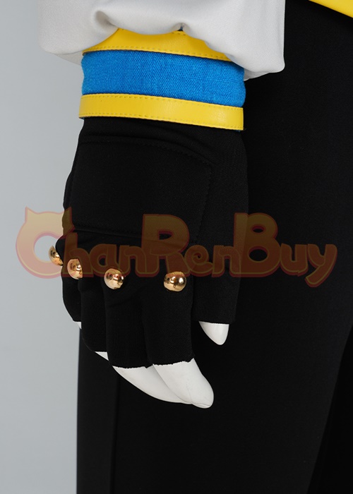 The Legend of Zelda Princess Zelda Costume Cosplay Suit with Cloak Breath of the Wild Outfit