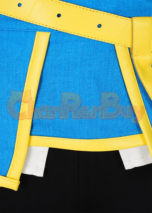 The Legend of Zelda Princess Zelda Costume Cosplay Suit with Cloak Breath of the Wild Outfit