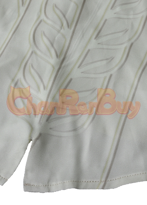 Princess Zelda Costume The Legend of Zelda Breath of the Wild Cosplay Suit -Chaorenbuy Cosplay