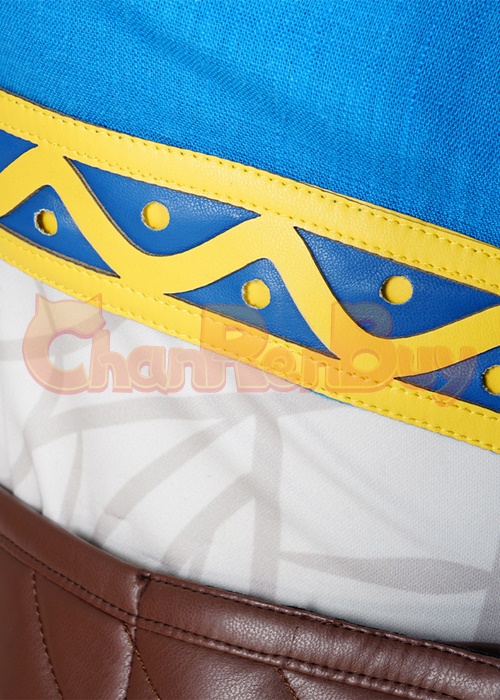 The Legend of Zelda Princess Zelda Costume Cosplay Suit with Cloak Breath of the Wild Outfit