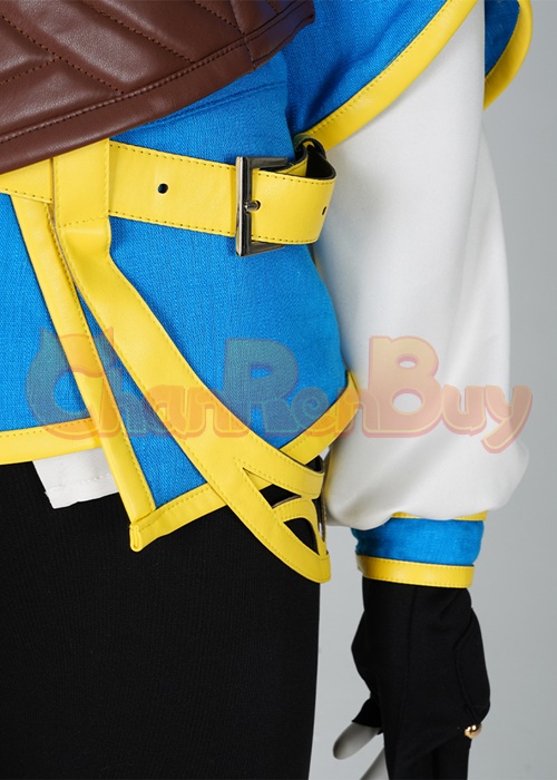 The Legend of Zelda Princess Zelda Costume Cosplay Suit with Cloak Breath of the Wild Outfit