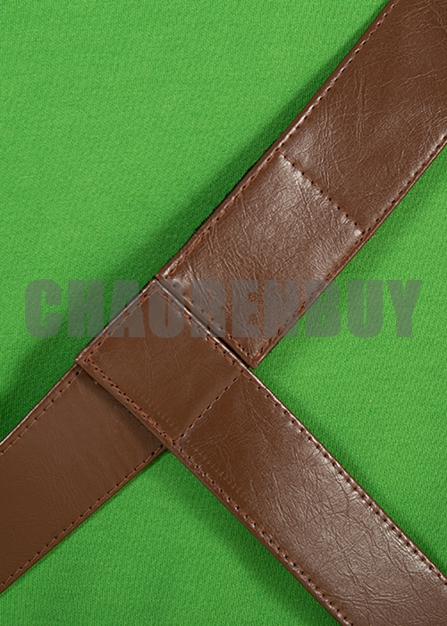 Link Costume The Legend of Zelda Skyward Sword Cosplay Suit Boots Outfit-Chaorenbuy Cosplay