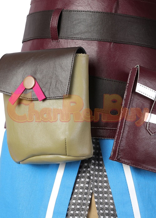 Link Costume The Legend of Zelda Tears of the Kingdom Cosplay Suit Ver.1-Chaorenbuy Cosplay