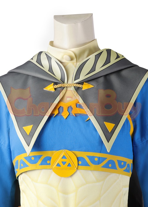 The Legend of Zelda Tears of the Kingdom Princess Zelda Costume Cosplay Suit Ver.4