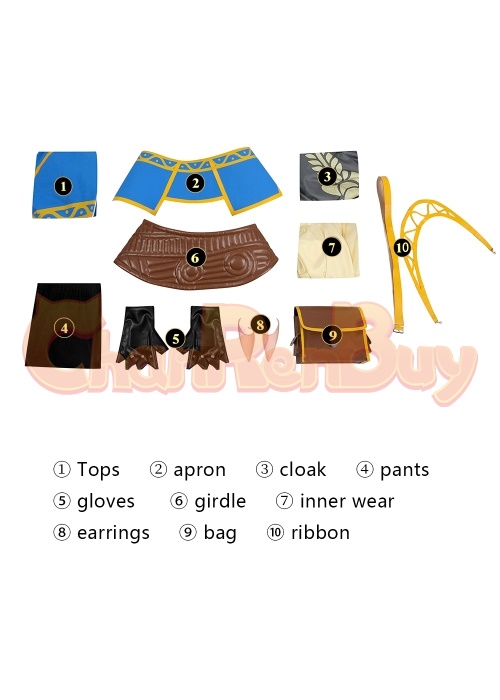 The Legend of Zelda Tears of the Kingdom Princess Zelda Costume Cosplay Suit Ver.4