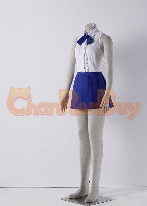 Erza Scarlet Costume FAIRY TAIL Cosplay Suit