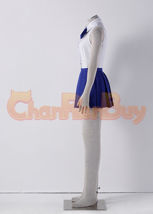 Erza Scarlet Costume FAIRY TAIL Cosplay Suit