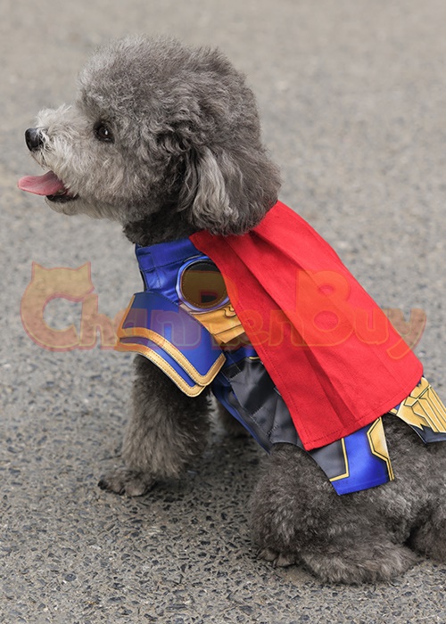 Pet Clothes Thor Dog Costume Cosplay Suit OutfitChaorenbuy Cosplay