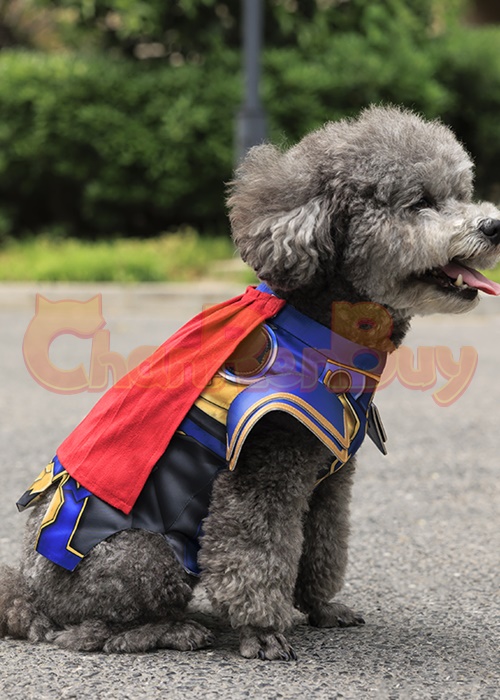 Pet Clothes Thor Dog Costume Cosplay Suit OutfitChaorenbuy Cosplay