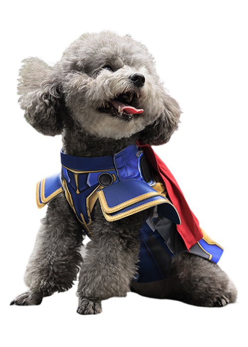 Pet Clothes Thor Dog Costume Cosplay Suit Outfit