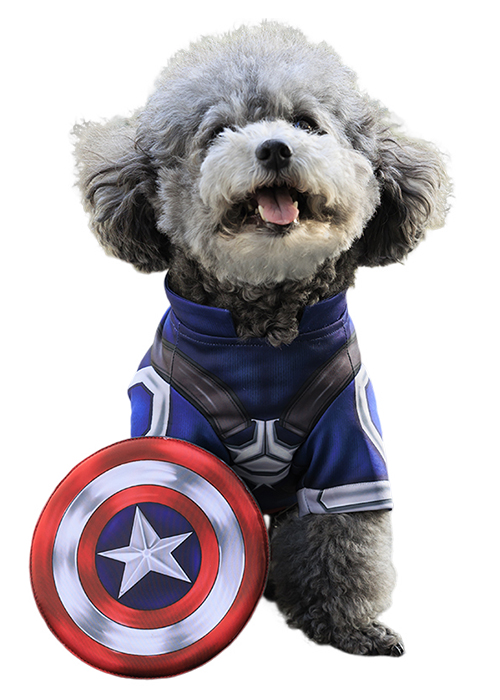 Pet Clothes Captain America Dog Costume The First Avenger Cosplay Suit Outfit