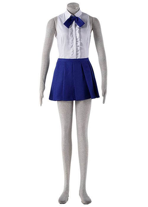 Erza Scarlet Costume FAIRY TAIL Cosplay Suit