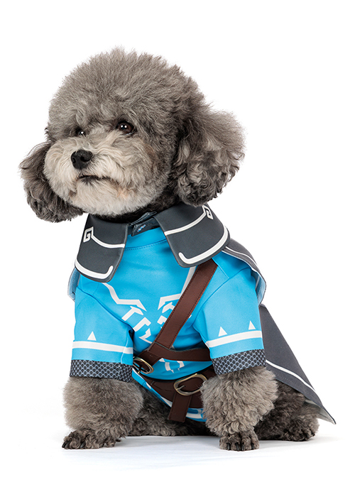 Pet Cloth Link Dog Costume The Legend of Zelda Tears of the Kingdom Cosplay Outfit