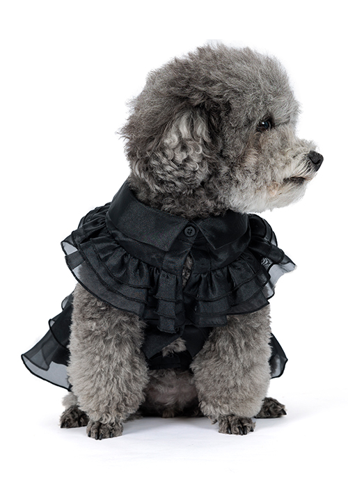 Pet Clothes Wednesday Dog Costume Wednesday Addams Cosplay Suit