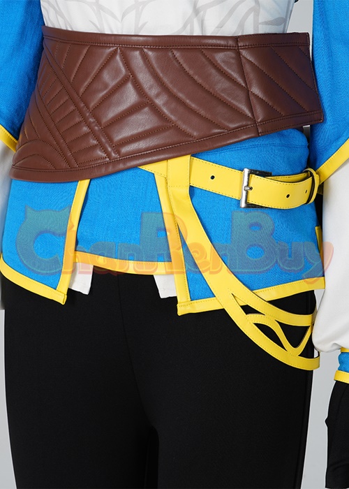 The Legend of Zelda Princess Zelda Costume Cosplay Suit with Cloak Breath of the Wild Outfit