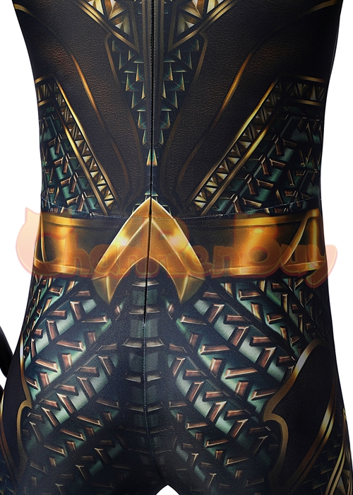 Aquaman and the Lost Kingdom Costume Cosplay Suit-Chaorenbuy Cosplay