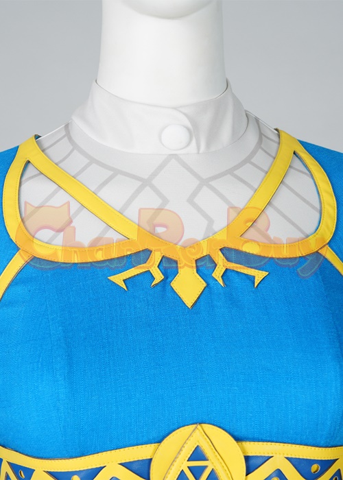 The Legend of Zelda Princess Zelda Costume Cosplay Suit with Cloak Breath of the Wild Outfit