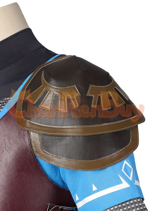 Link Costume The Legend of Zelda Tears of the Kingdom Cosplay Suit Ver.1-Chaorenbuy Cosplay