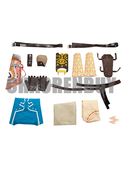 Link Costume Champion's Tunic Suit The Legend of Zelda Breath of the Wild Cosplay Boots Outfit