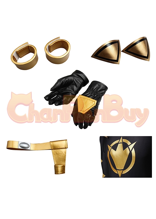 Black Dino Ranger Costume Power Rangers Dino Thunder Cosplay Suit-Chaorenbuy Cosplay