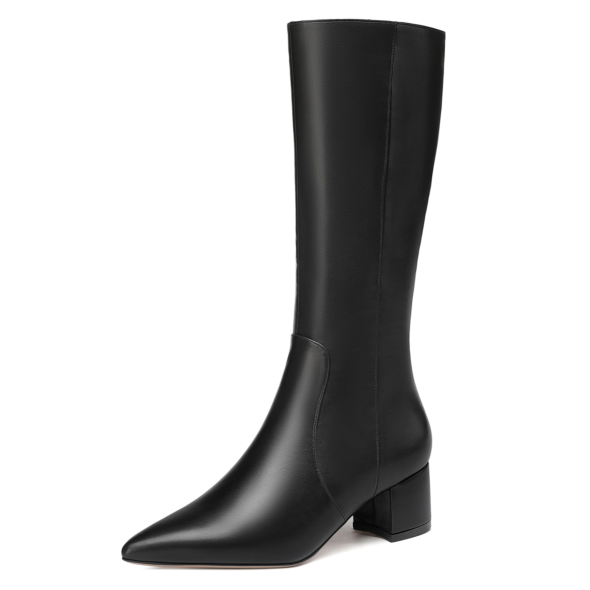 Raine Patent Zip Pointed Toe Boots