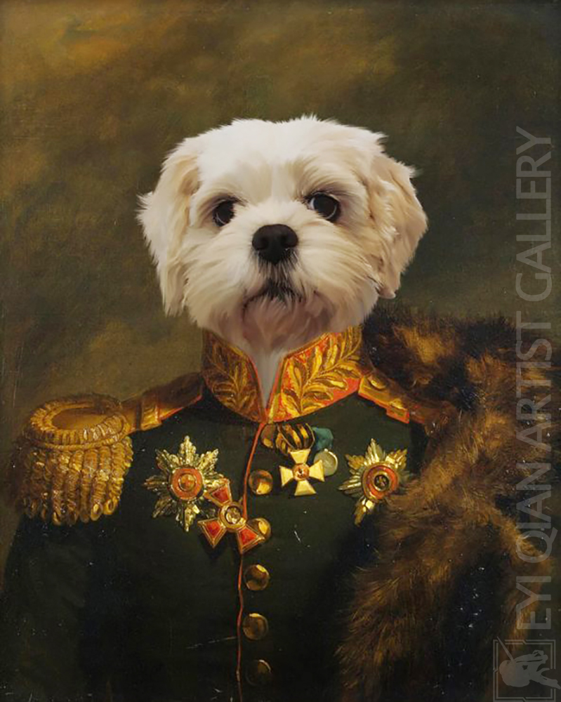 Based: Pet Portrait-006005