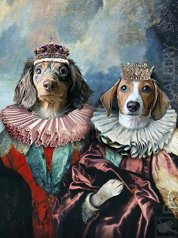 Based: Pet Portrait-006023