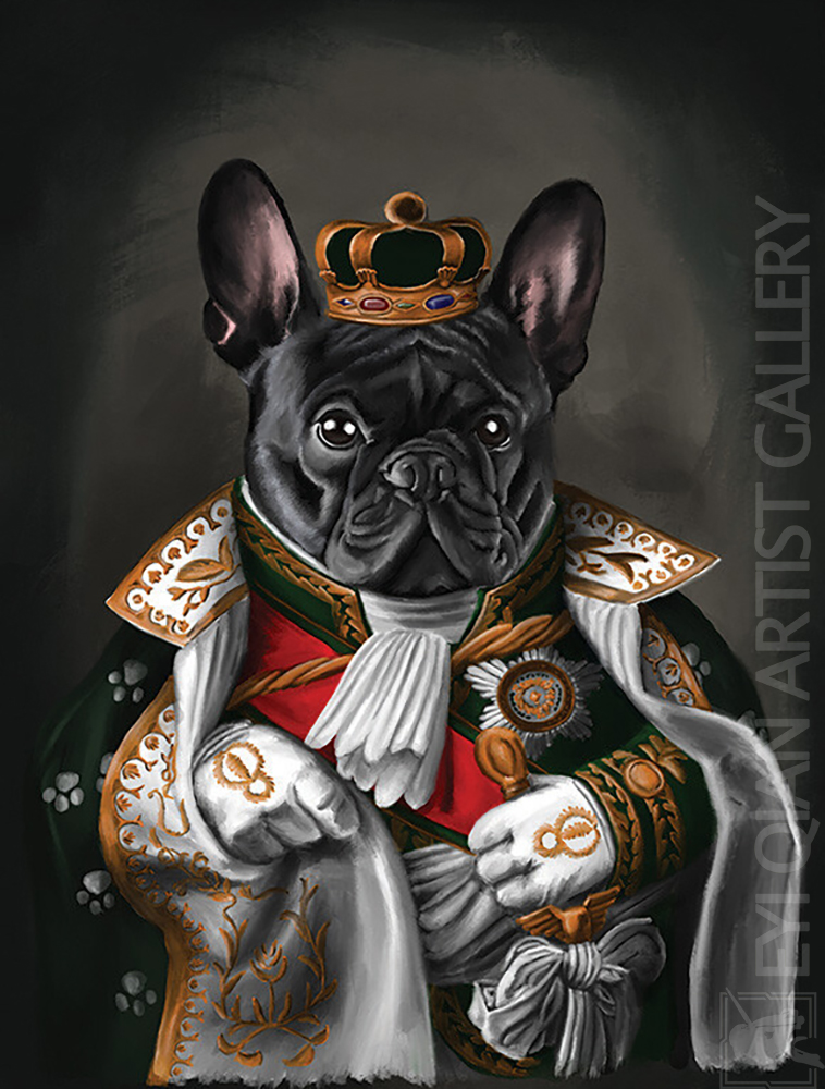 Based: Pet Portrait-006019