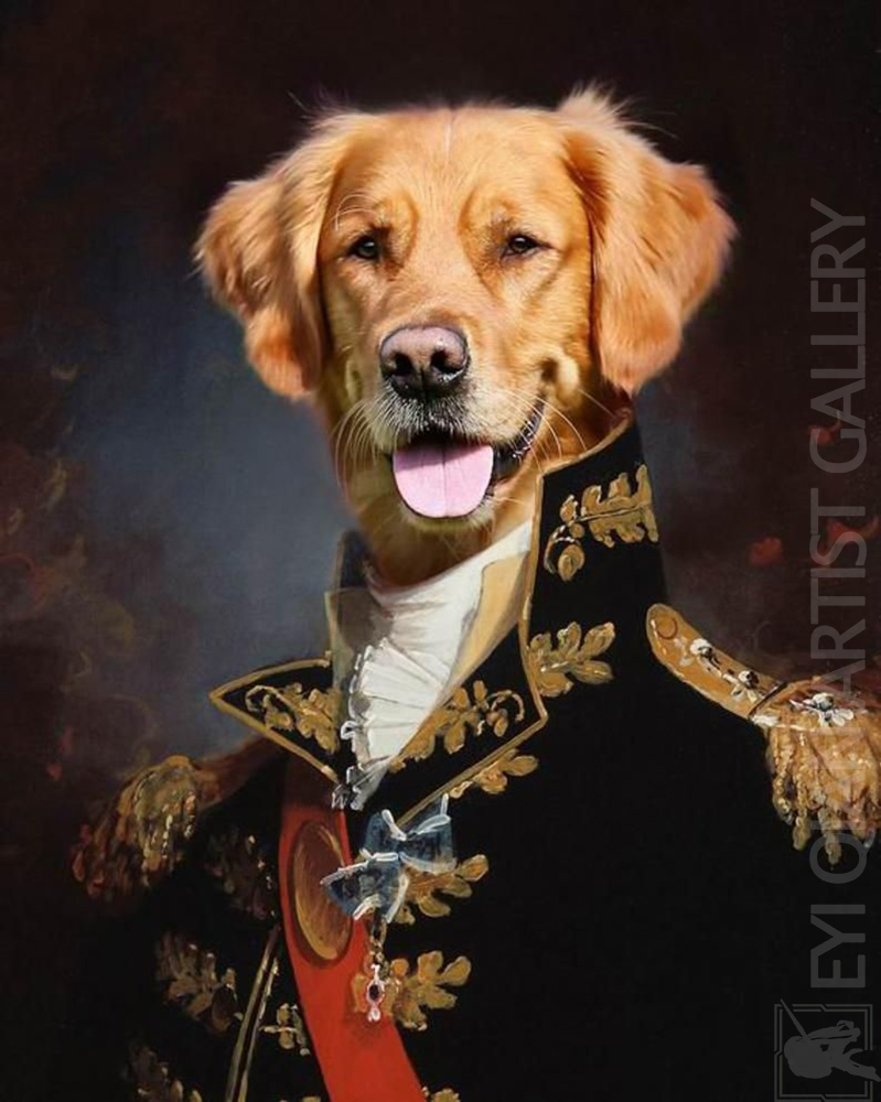 Based: Pet Portrait-006004