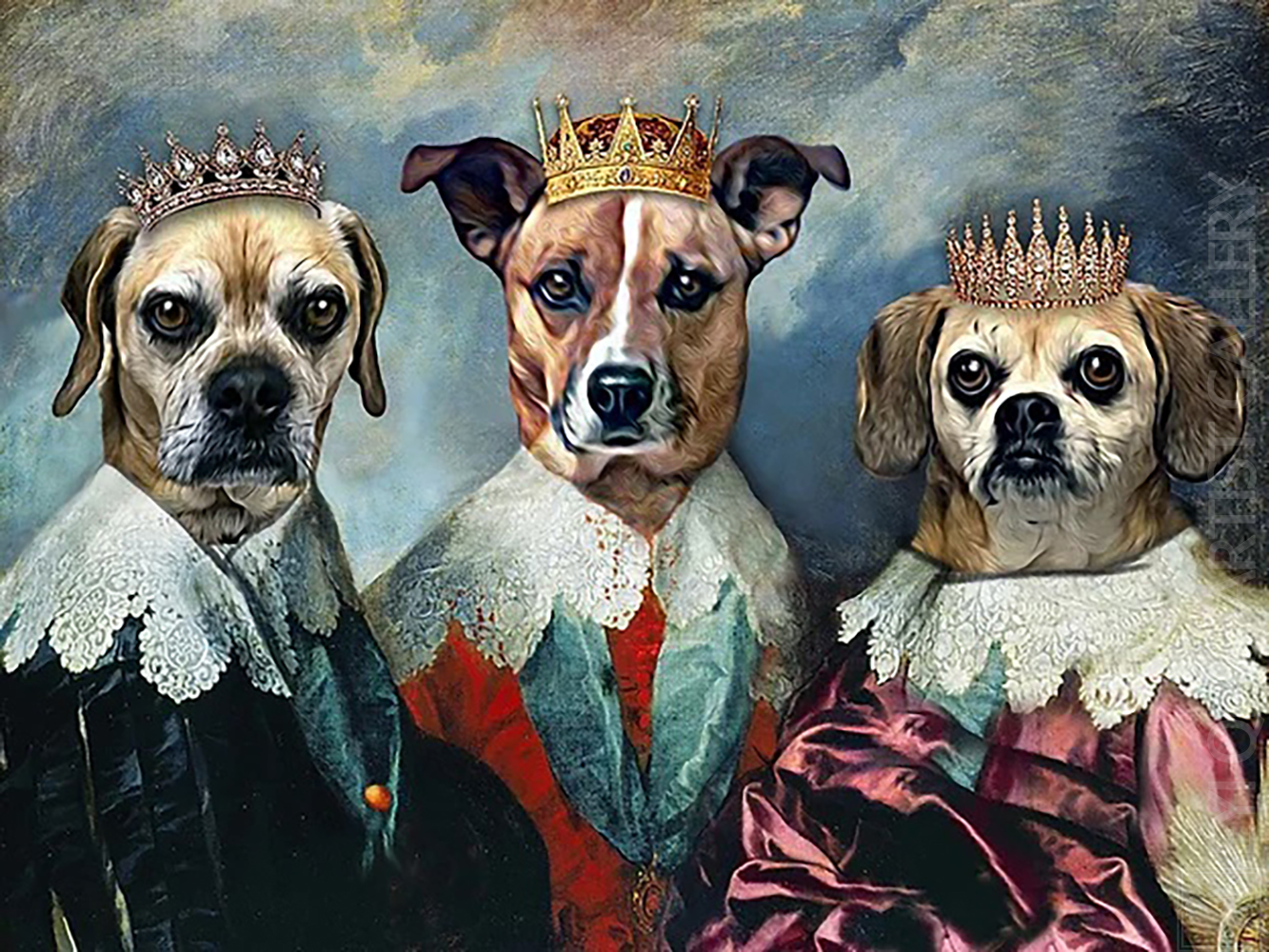 Based: Pet Portrait-006026