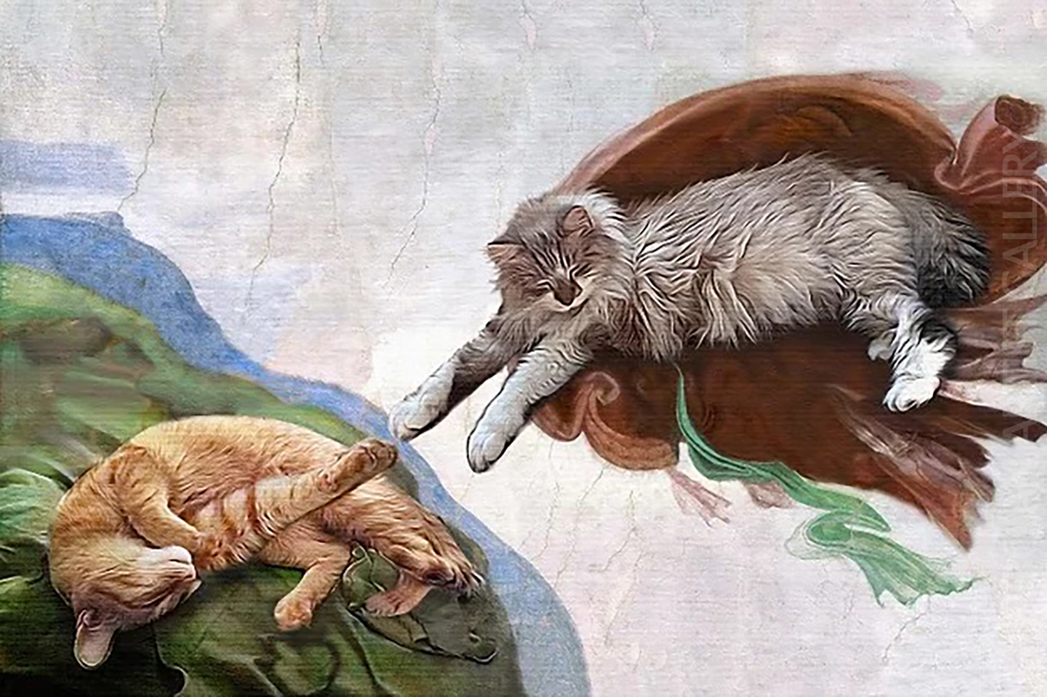 Based: Pet Portrait-006024