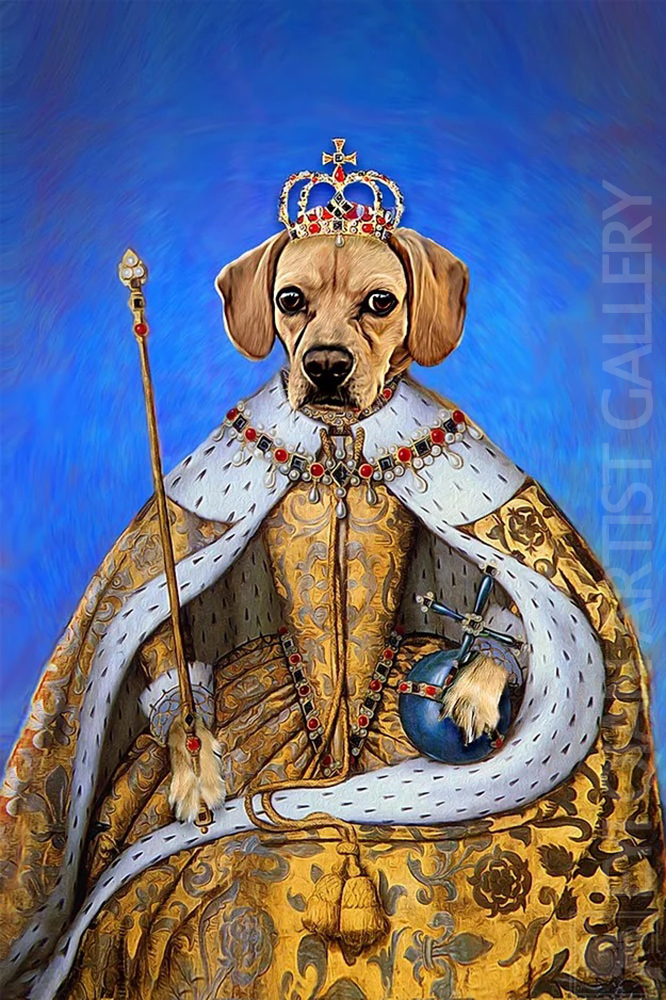 Based: Pet Portrait-006007