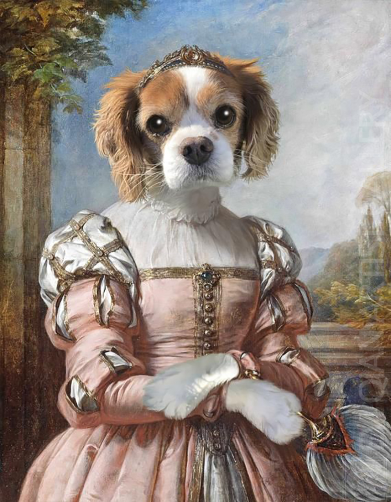 Based: Pet Portrait-006017