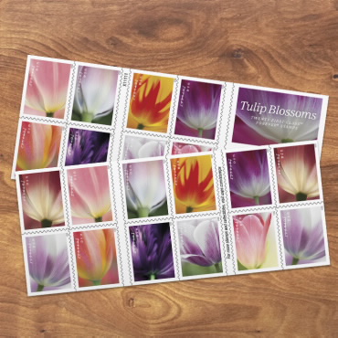 2023 Tulips Blossom Forever First Class Postage Stamps