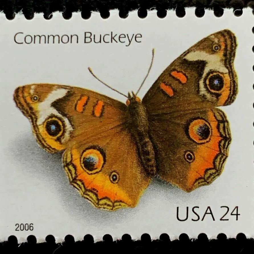 2006 Common Buckeye Butterfly Forever First Class Poatage Stamps