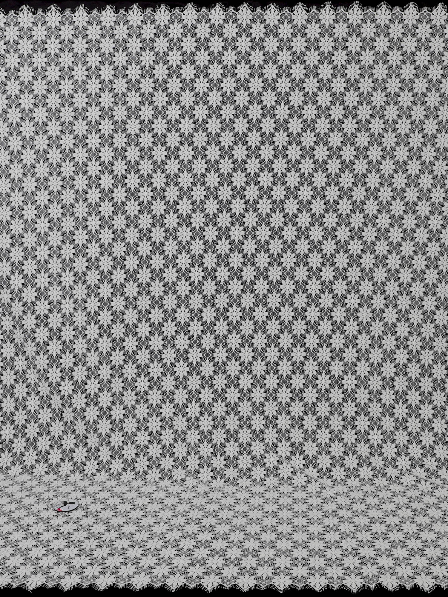 Yanzi Off-white French eyelash lace fabric (59-612）