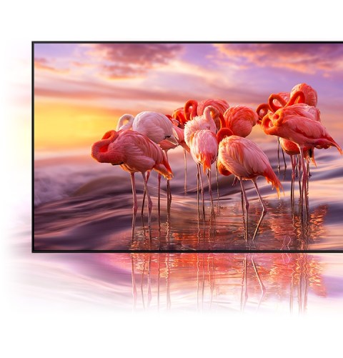 Volumen de color al 100 % con Quantum Dot: mil millones de tonos de color Volumen de color al 100 % con Quantum Dot: mil millones de tonos de color