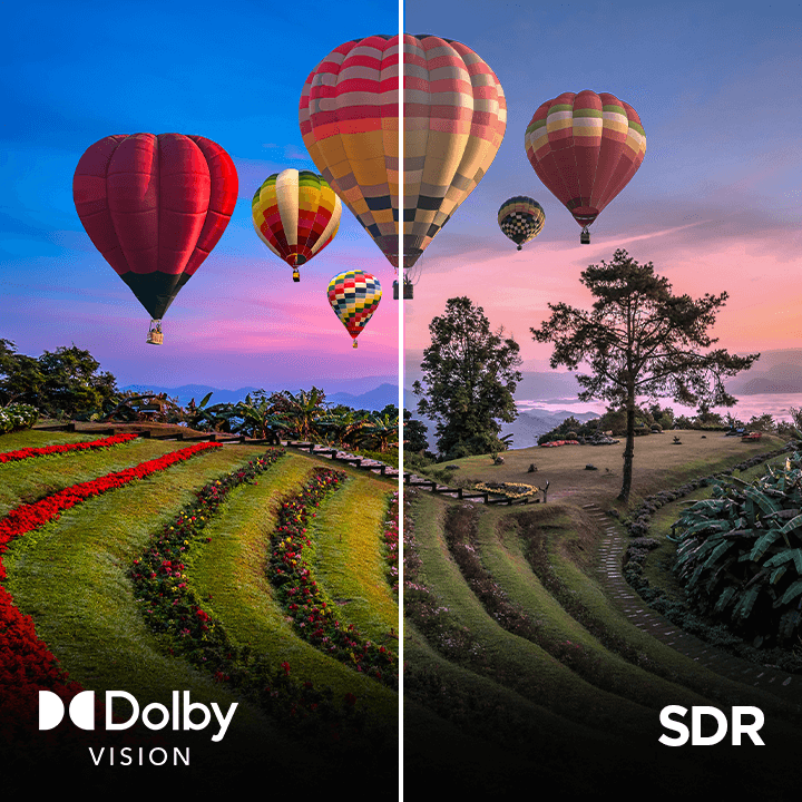 Dolby