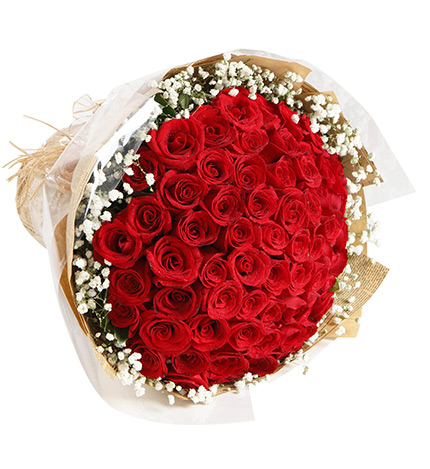 Red Rose 66 stems