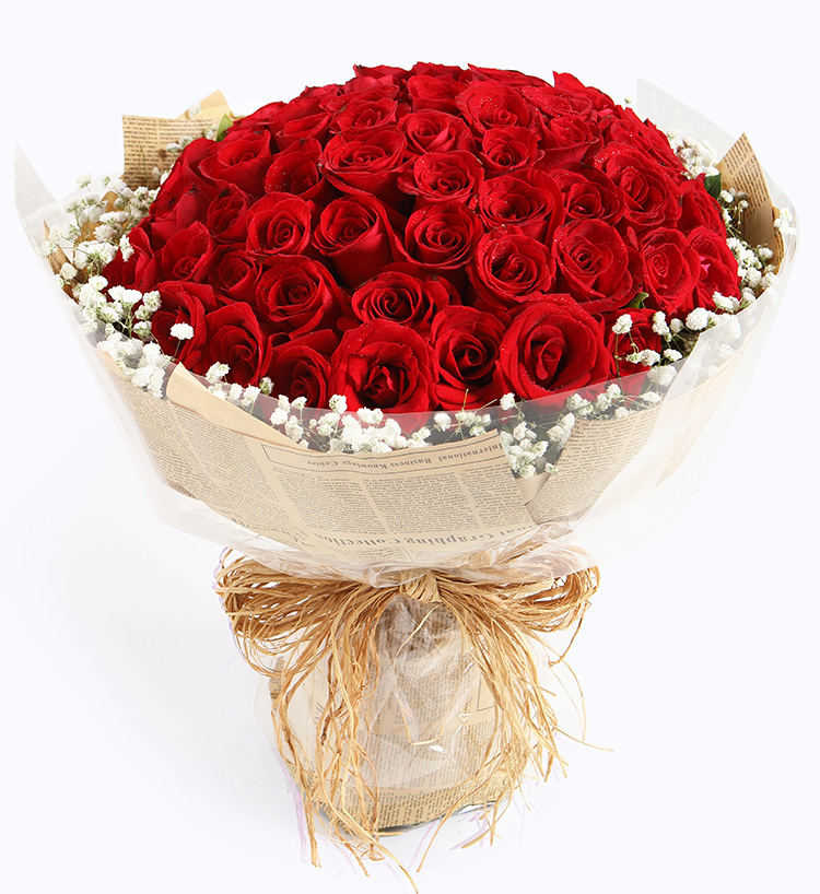 Red Rose 66 stems