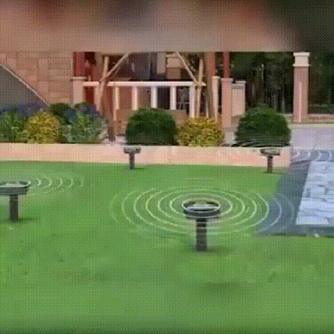 20210521162157691168154.gif