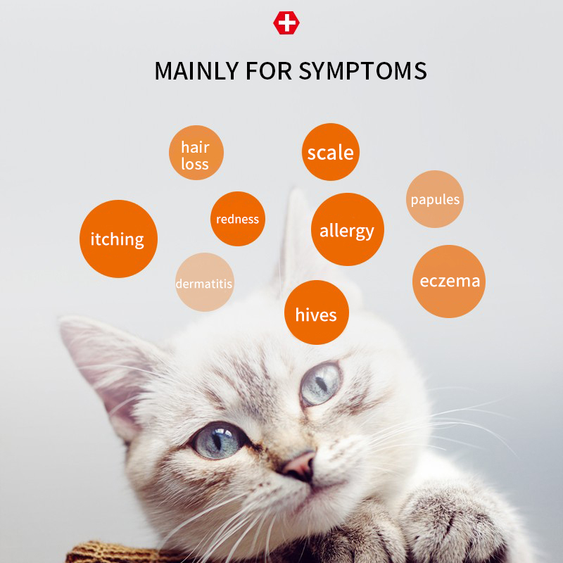 Puainta® Chlorpheniramine Maleate Allergy Medicine for Cats/ Dogs