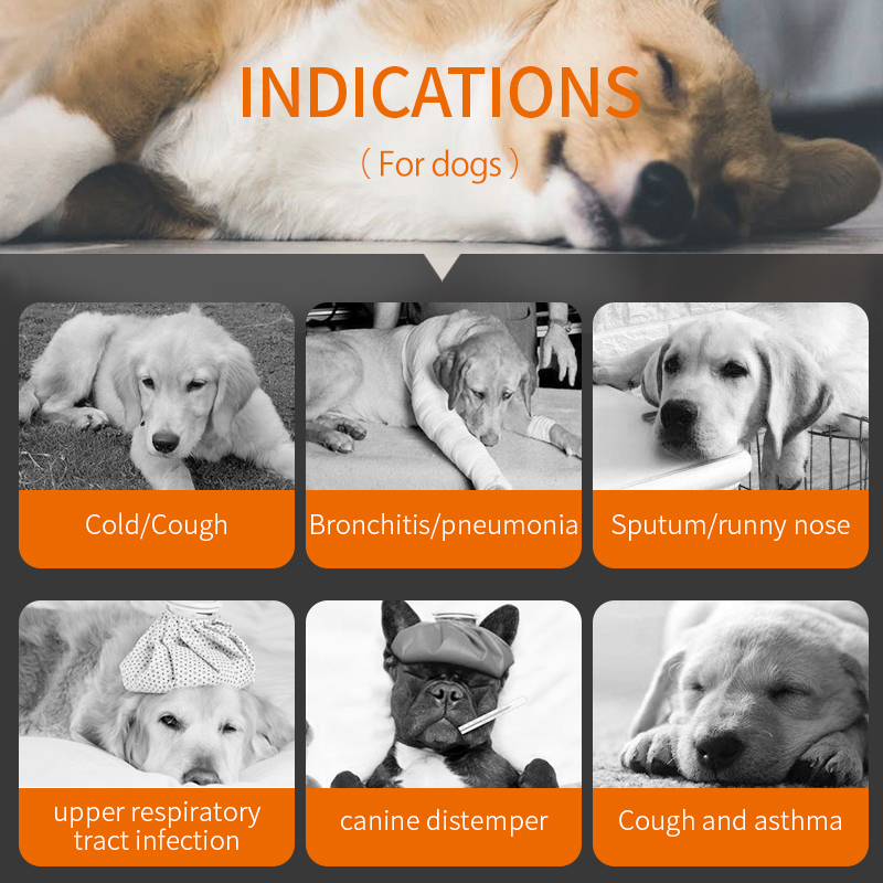 Puainta® Cough Tabs for Dogs and Antiinflammatory