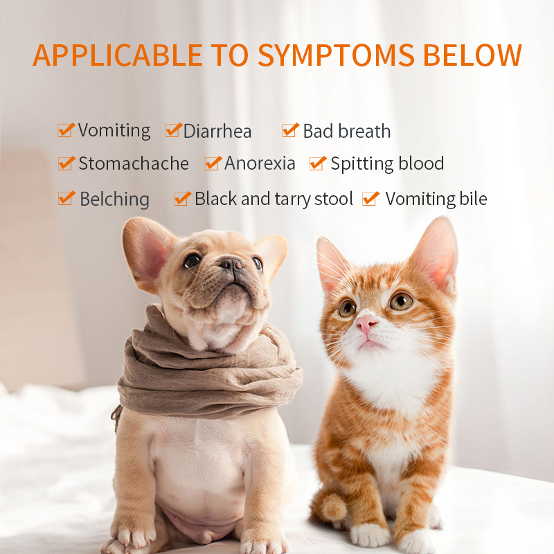 Puainta Anti Nausea Medicine for Dogs Treatment Vomiting ReliefTablets